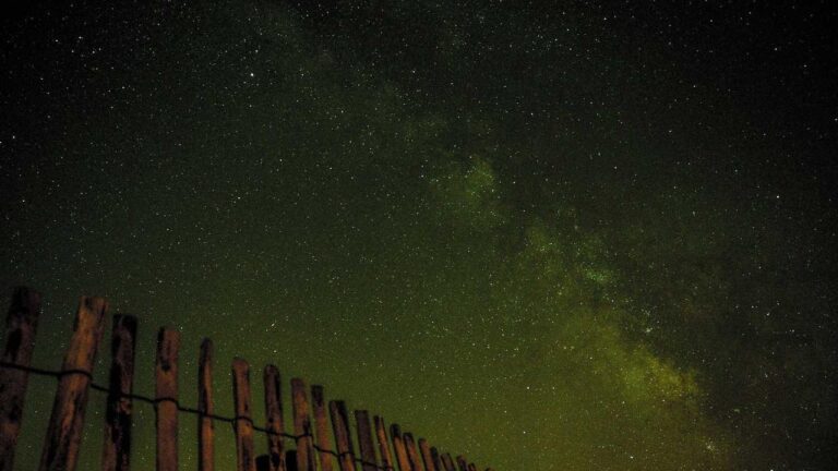 What Is The 99Exch Green Interface Used For?