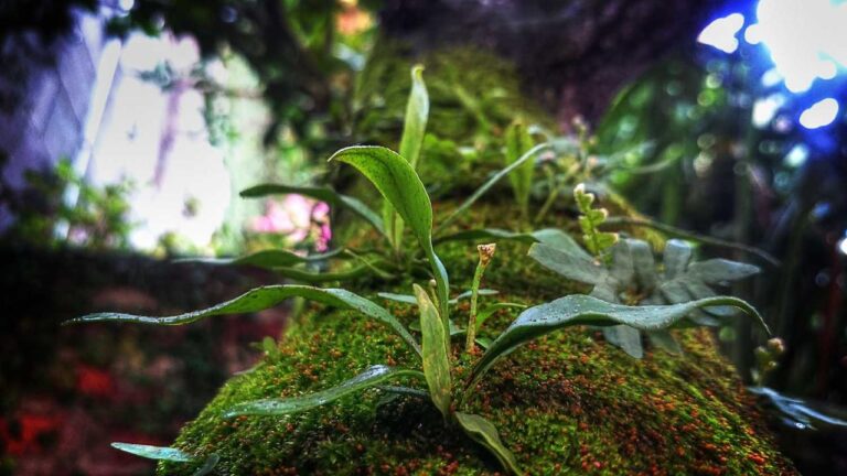 Is 11Xplay Site Safe For Indian Users?